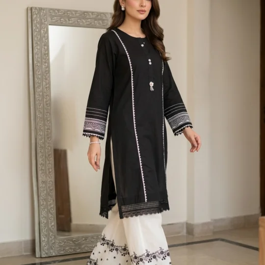 Solid Laces And Pearls Embalished Single and embroidered Trouser